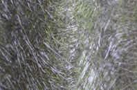 Childer Thornton fibreglass roof work